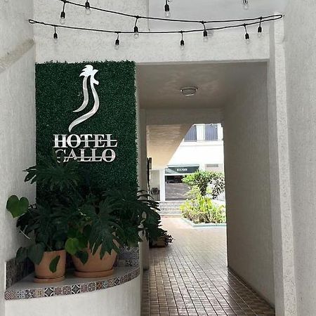 Hotel Gallo Guadalajara Exterior photo