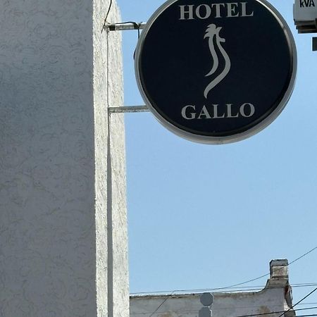Hotel Gallo Guadalajara Exterior photo
