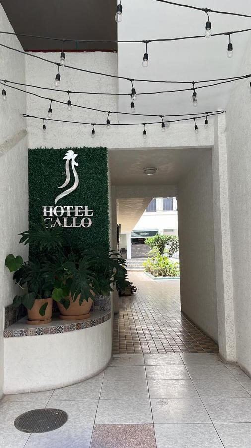 Hotel Gallo Guadalajara Exterior photo