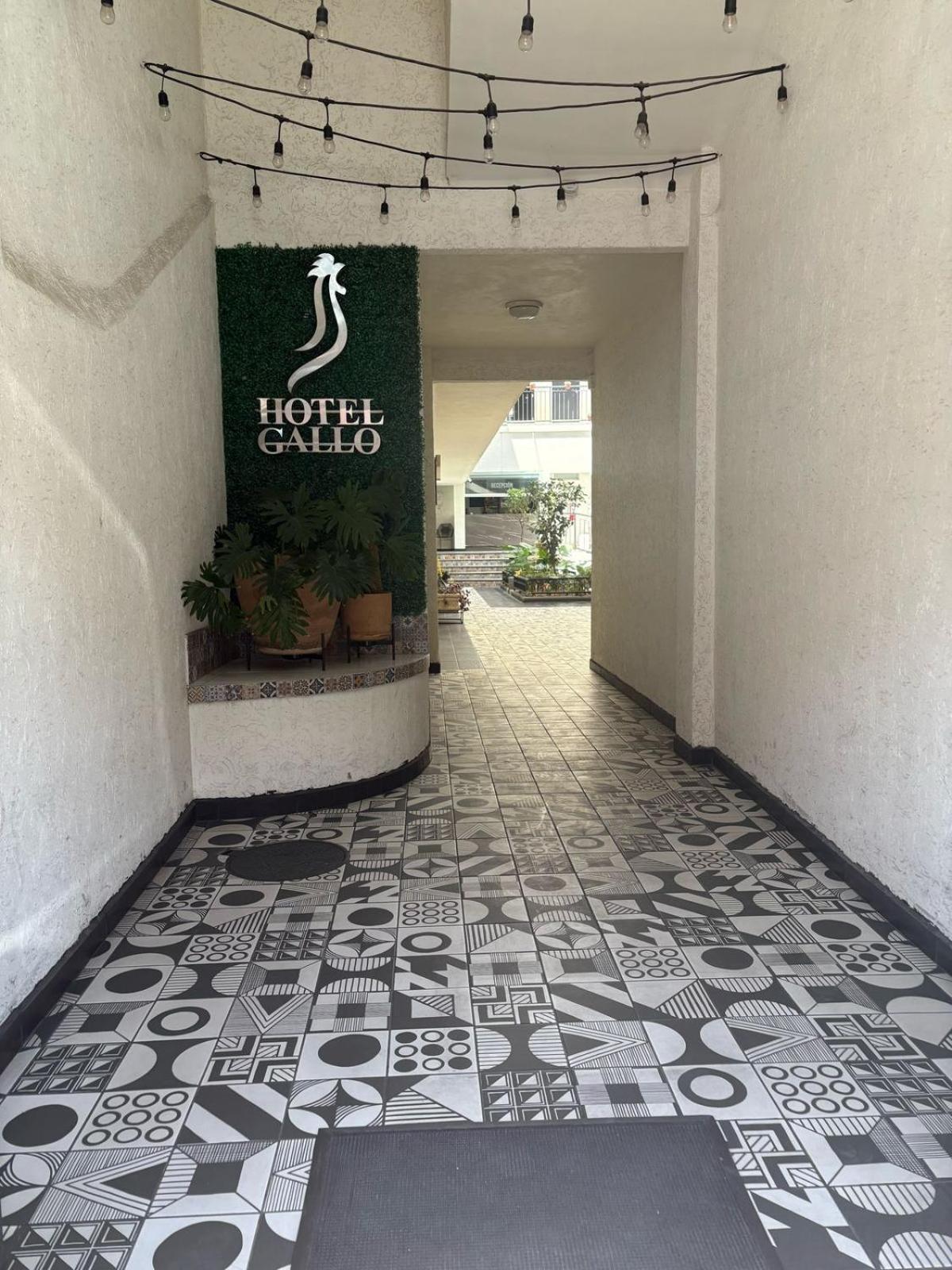 Hotel Gallo Guadalajara Exterior photo